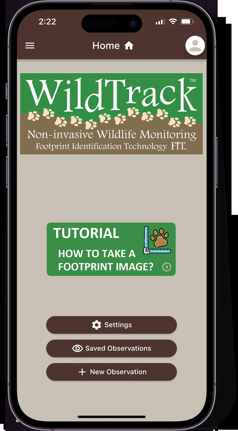 Unlock the Thrills of Wildrobin Casino with Exclusive Bonuses and Spins